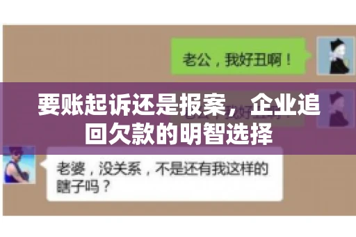 要账起诉还是报案,企业追回欠款的明智选择 要账起诉还是报案,企业追回欠款的明智选择