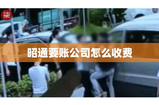 昭通要账公司怎么收费