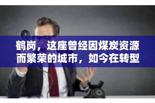 鹤岗，这座曾经因煤炭资源而繁荣的城市，如今在转型中寻求新的发展路径。在这座城市中，有一家名为“鹤岗要账公司”的企业，它以专业的服务，在众多企业中脱颖而出。今天，就让我们一起来了解一下这家公司，看看它是如何在这个充满挑战的市场中立足的。