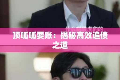 顶呱呱要账：揭秘高效追债之道