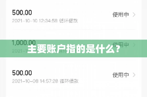 主要账户指的是什么？