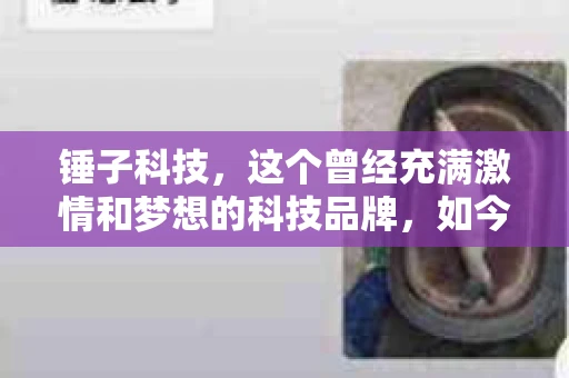 锤子科技，这个曾经充满激情和梦想的科技品牌，如今却陷入了要账的困境。今天，我们就来聊聊锤子科技要账的那些事儿。