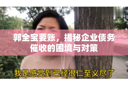 郭全宝要账，揭秘企业债务催收的困境与对策