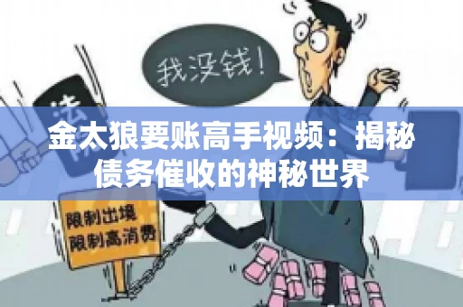 金太狼要账高手视频：揭秘债务催收的神秘世界