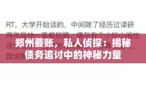 郑州要账，私人侦探：揭秘债务追讨中的神秘力量