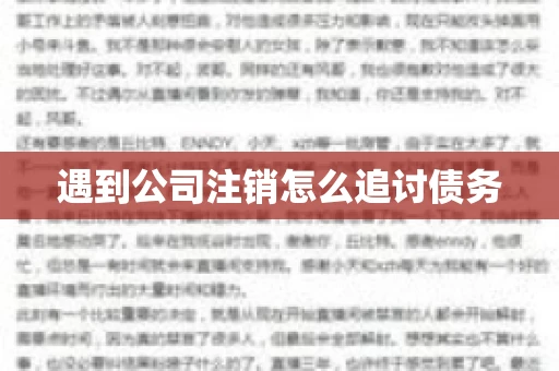 遇到公司注销怎么追讨债务