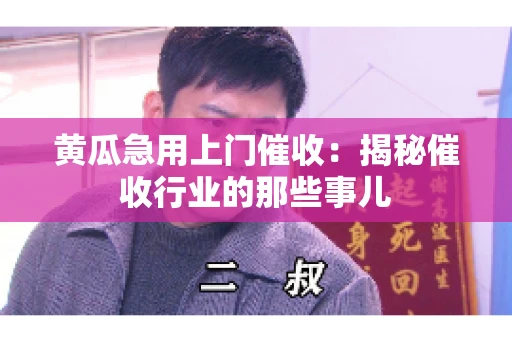 黄瓜急用上门催收：揭秘催收行业的那些事儿