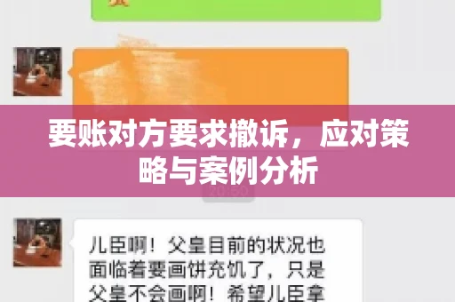 要账对方要求撤诉，应对策略与案例分析